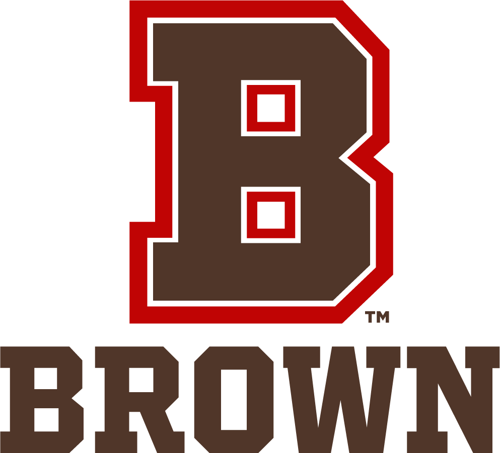 Brown Bears 2022-Pres Alternate Logo v2 diy iron on heat transfer
